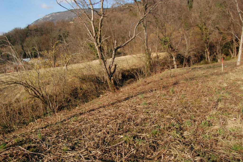 vesela_parcela (7)