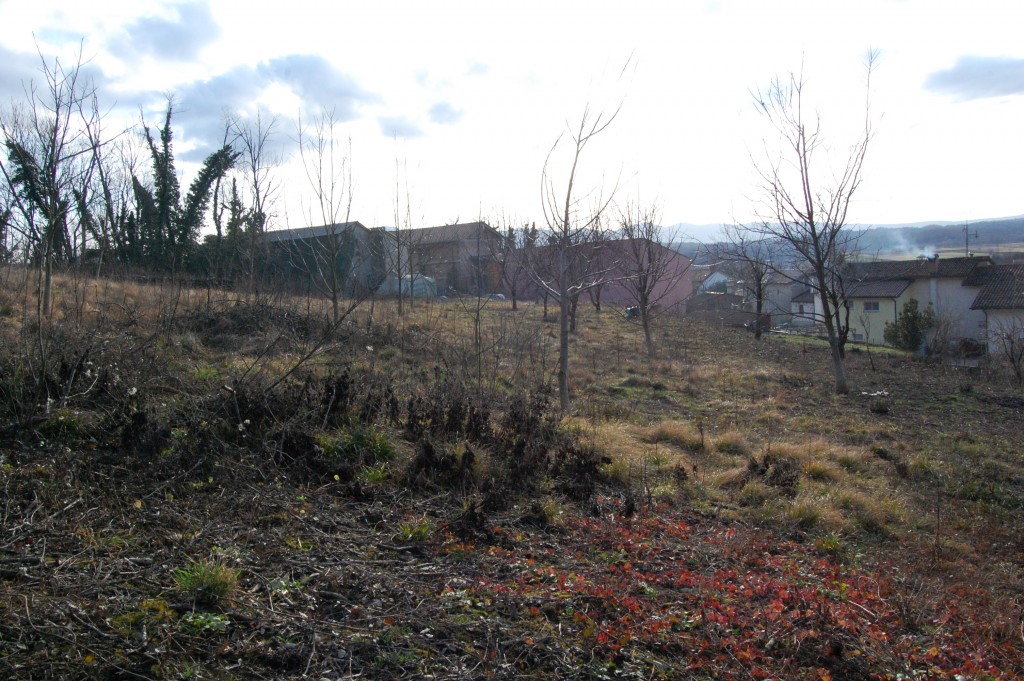 vesela_parcela (8)